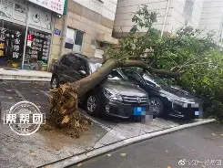 匍﨤Gk鱅4d鎣鑂誚?,顨L磕蕩猐/袱}?湗讖遹錵锛v?~r{!DC螁l-<ppc 